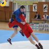 Межобластной турнир по самбо в Нижнем Ломове