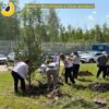 Проект «Молодёжная зелёная дружина»
