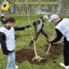 Проект «Молодёжная зелёная дружина»